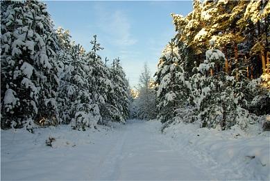 《那由多之轨迹：星之彼方》NS版新预告 5月26日发售